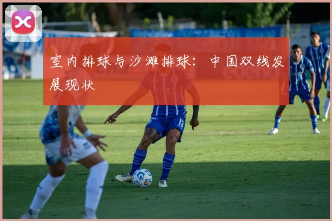 室内排球与沙滩排球:中国双线发展现状