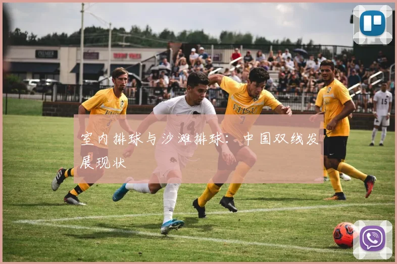室内排球与沙滩排球:中国双线发展现状